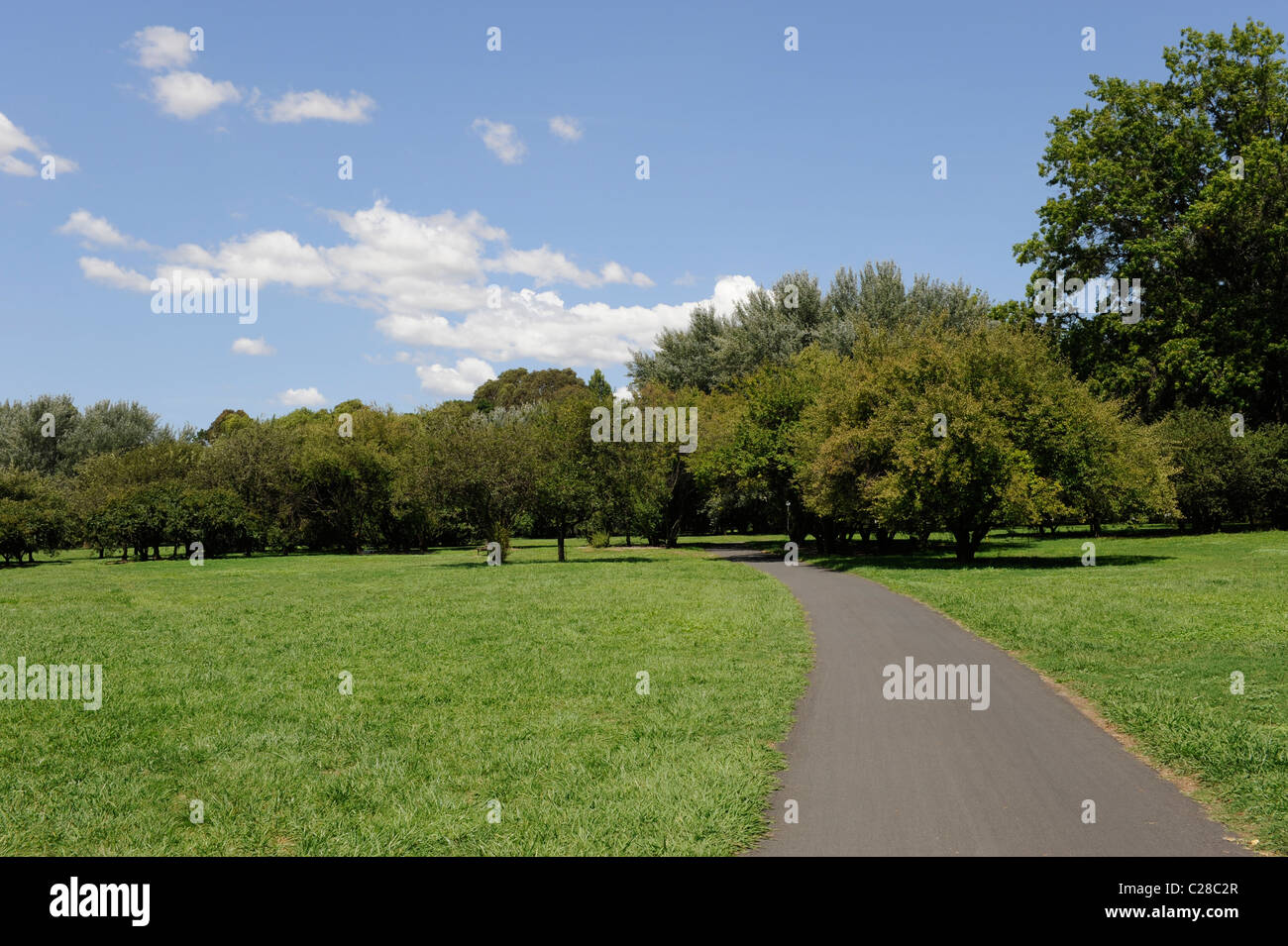 Parc sur une journée ensoleillée avec pathway Banque D'Images