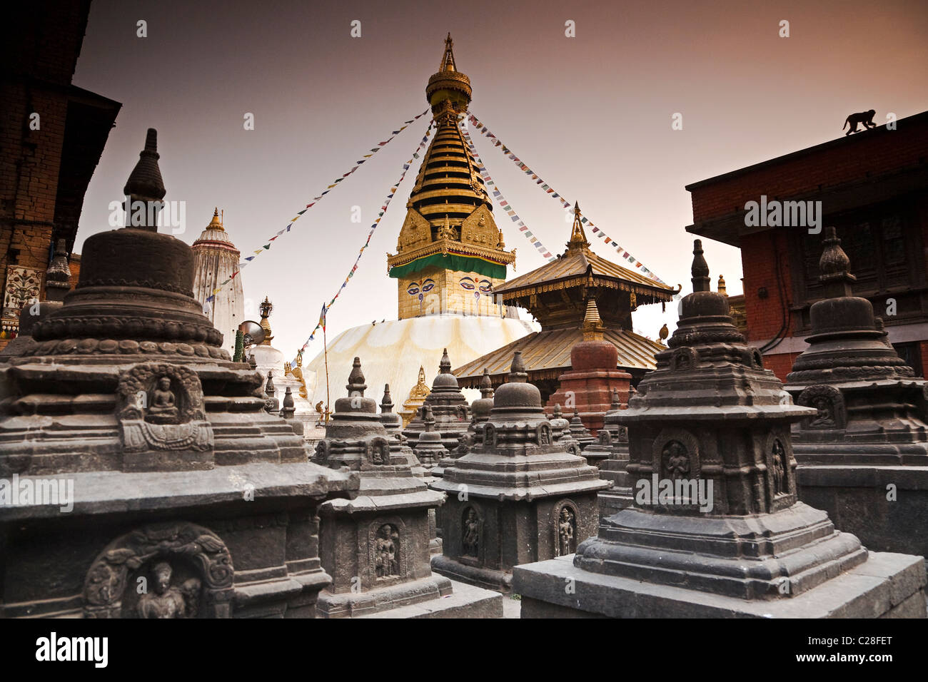 Temple de Swayambhunath Stupa de Kathmandu. Le Népal Banque D'Images