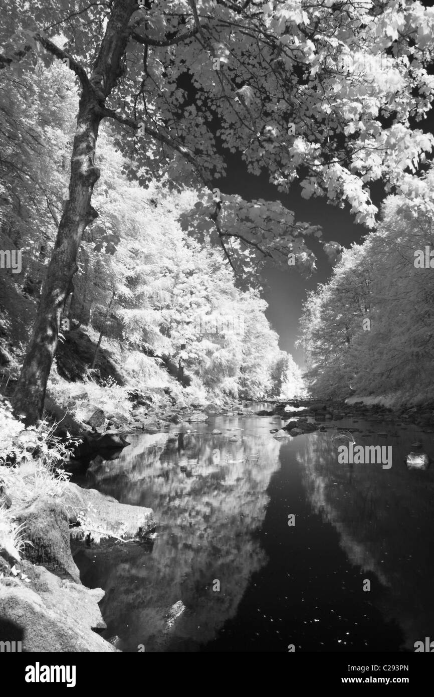 Emplacement : Banques Allen & Staward Gorge. Le Northumberland. Banque D'Images