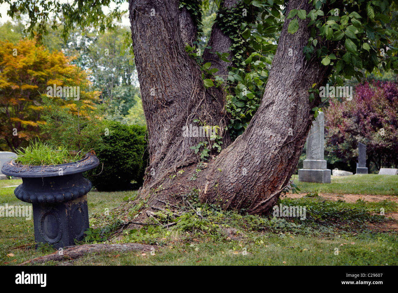 Une ancienne urne métallique dans un cimetière cimetière. Banque D'Images