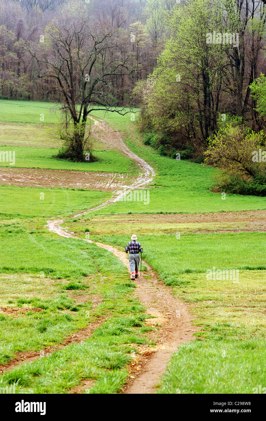 Homme randonnée sur un sentier dans un paysage luxuriant, Woodlawn Préserver, comté de New Castle, Delaware, USA Banque D'Images