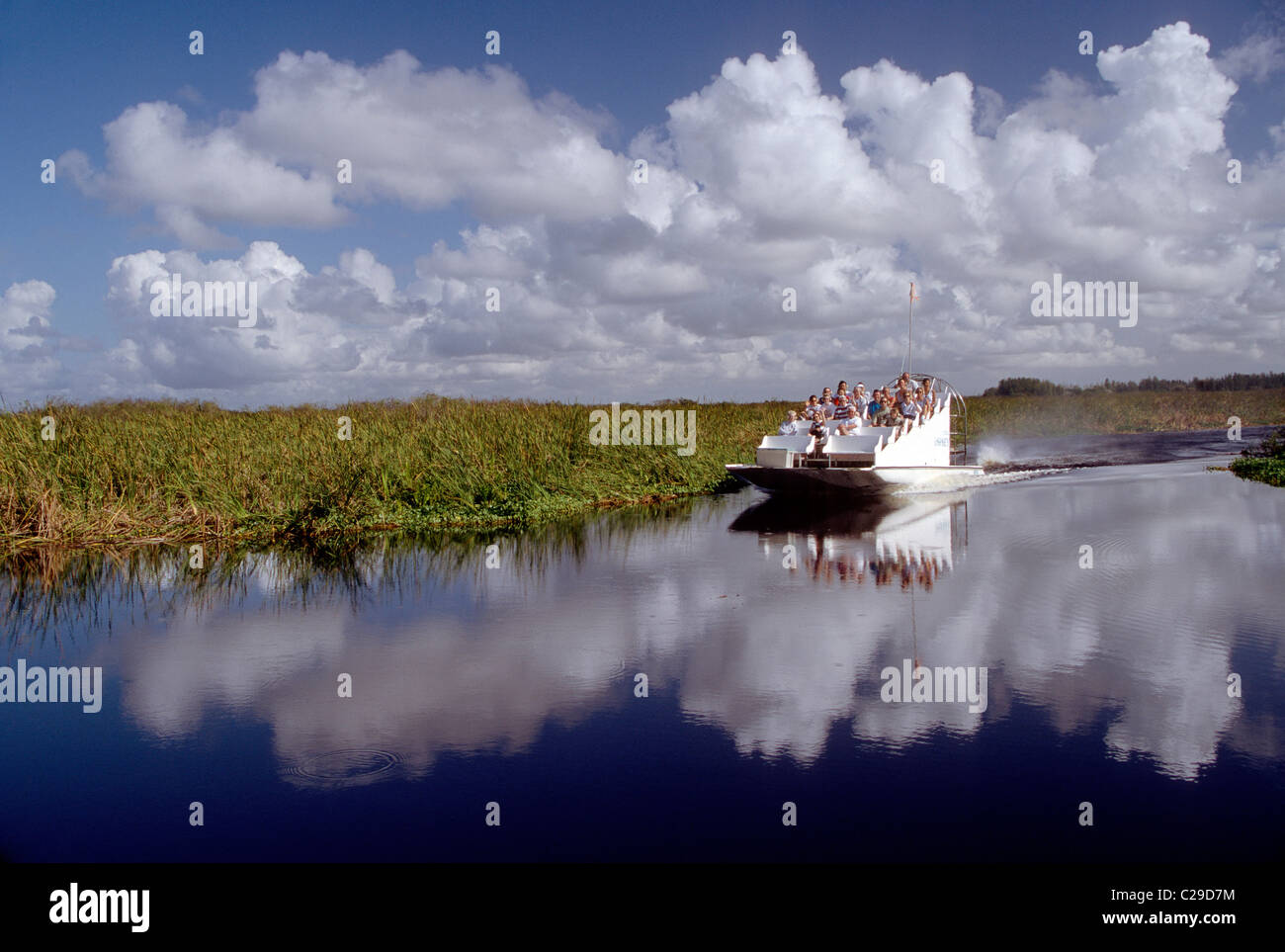 Les touristes équitation dans un hydroglisseur en tournée dans un marécage luxuriant dans le parc national des Everglades, Florida, USA Banque D'Images