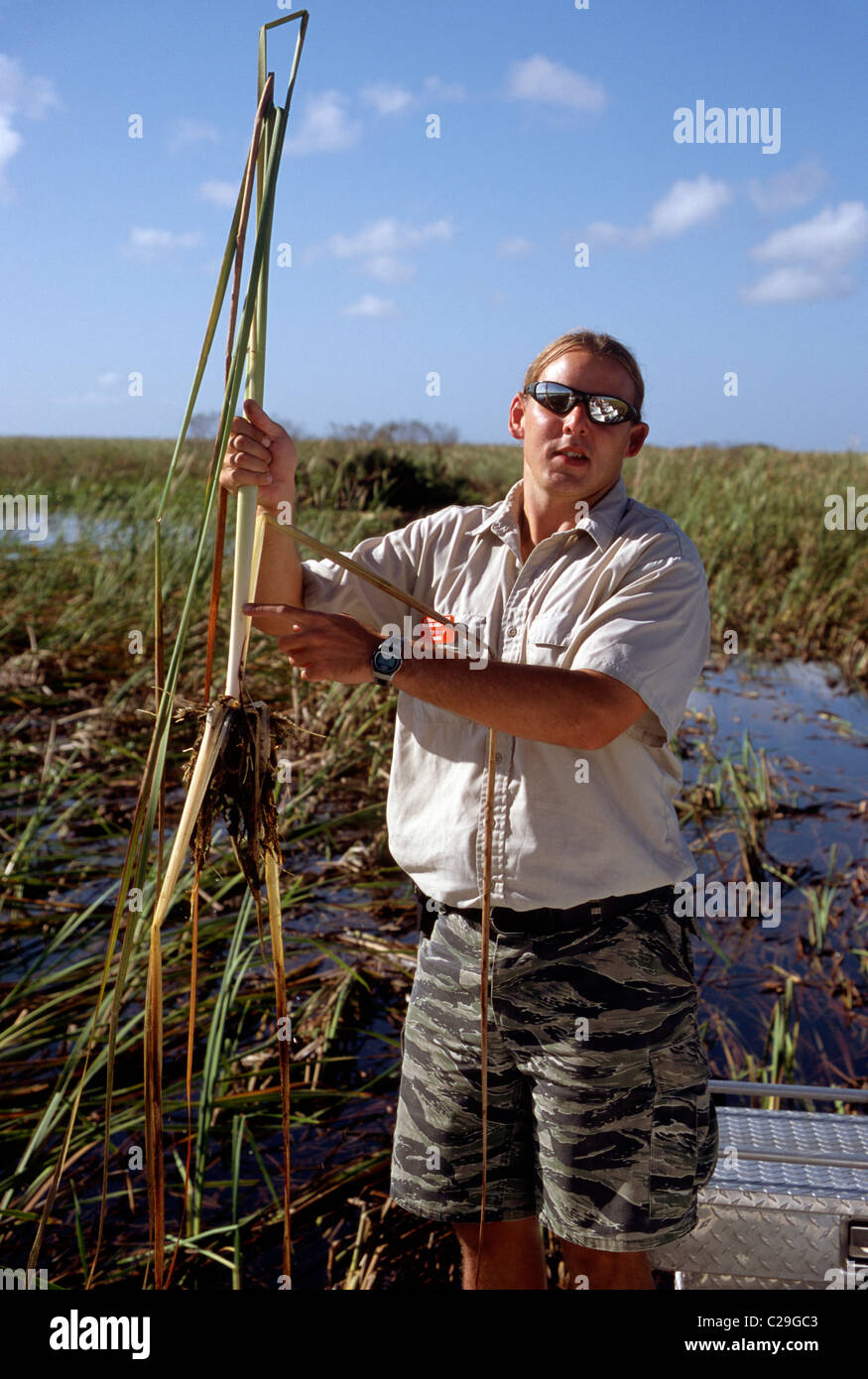 Tourguide expliquant la végétation indigène, le Parc National des Everglades, Florida, USA Banque D'Images
