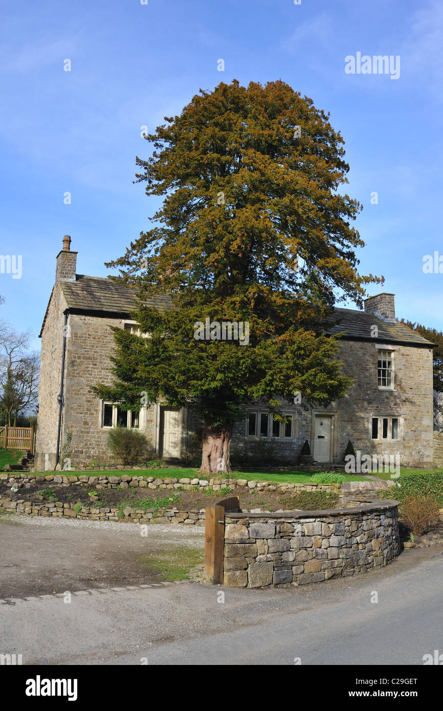 Yew Tree Cottage , une petite maison typique en pierre ,Bolton par Bowland, West Yorkshire Banque D'Images