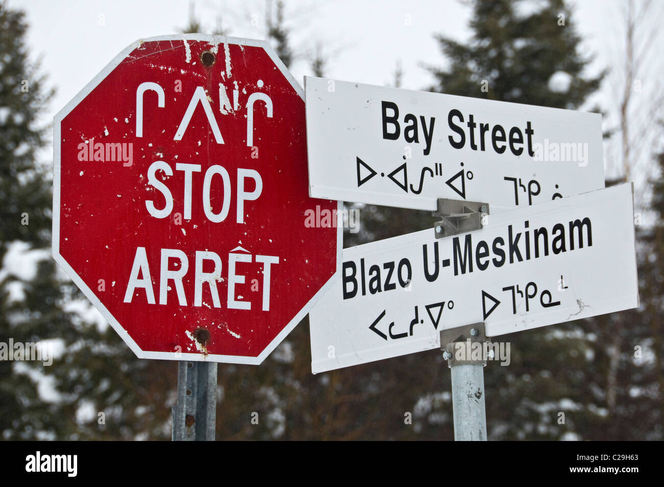 Les plaques de rue en cri langue natale et en anglais de la Baie James Mistissini Québec Canada Banque D'Images