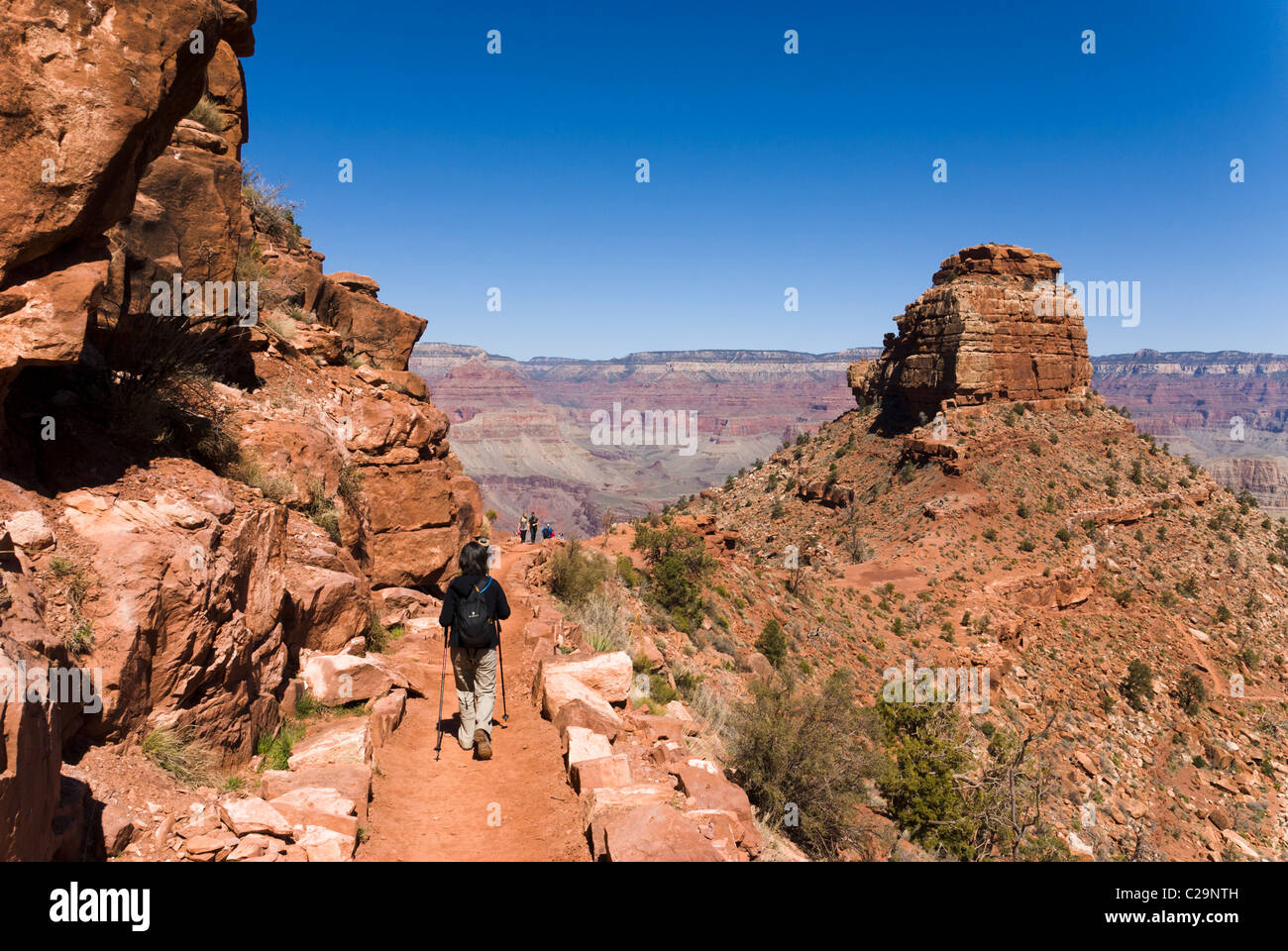 South Kaibab Trail, le Parc National du Grand Canyon, Arizona, USA. Banque D'Images