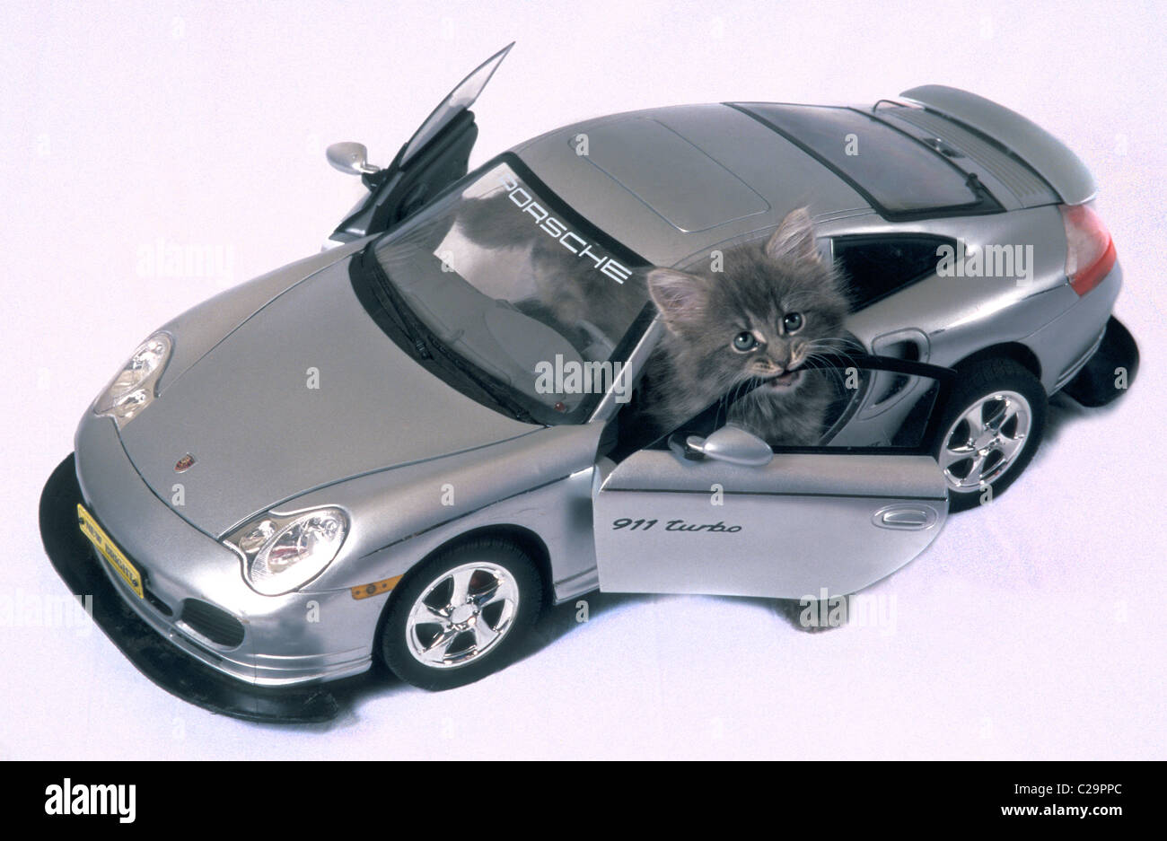 Kitten playing dans porsche jouet Banque D'Images