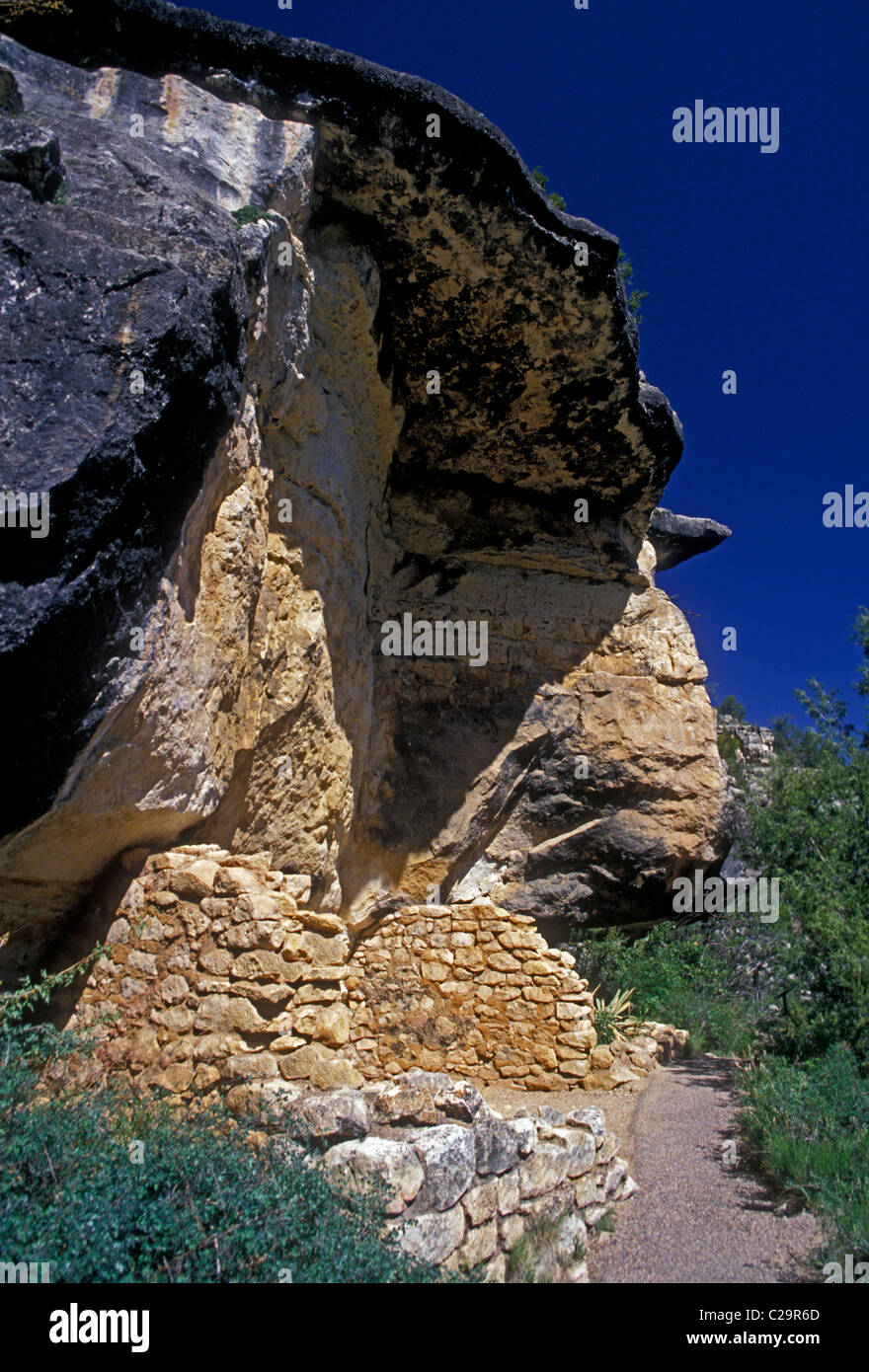 Indiens Vivant, tribue Sinagua falaise Walnut Canyon National Monument, Coconino county, Arizona, United States, Amérique du Nord Banque D'Images