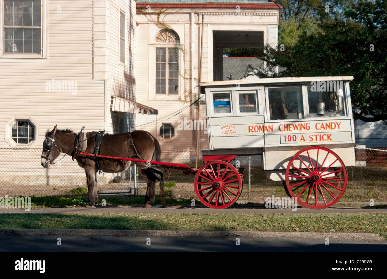 L'homme tire de la Nouvelle-Orléans avec chariot mule est une icône locale, vu voyageant dans divers quartiers uptown. Banque D'Images