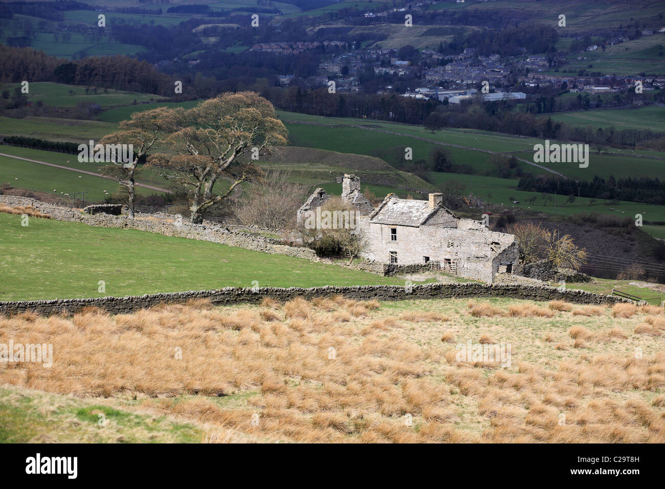 Une ancienne ferme près de Hill End près de Frosterley, Weardale, Angleterre du Nord-Est, Royaume-Uni Banque D'Images