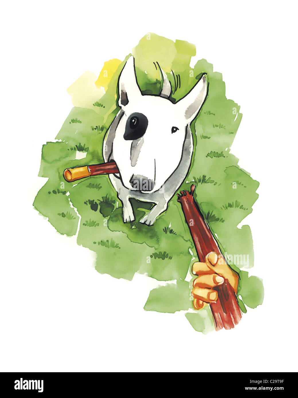 Illustration de bull terrier avec stick Banque D'Images