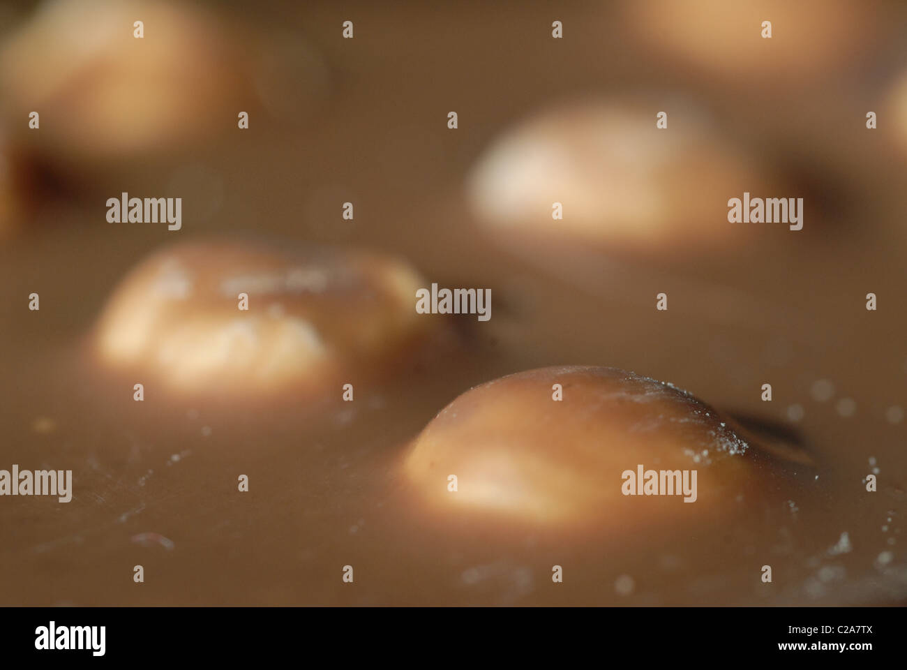 Noisettes recouvert de chocolat. Close-up de barre de chocolat. Banque D'Images