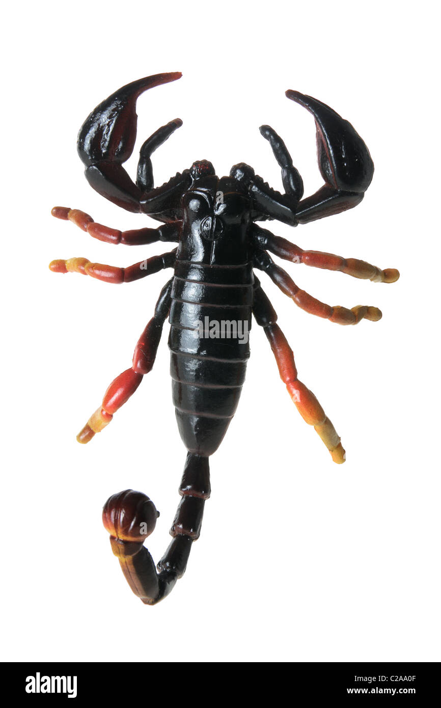 Scorpion en plastique Banque D'Images