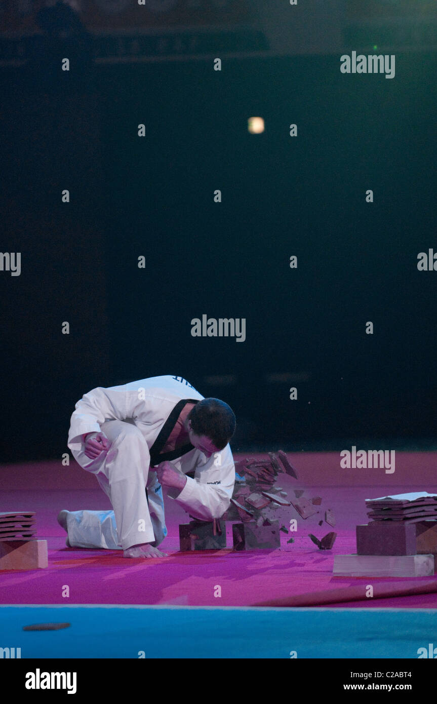 Le Taekwondo par Michel Carron au Festival des Arts Martiaux de Bercy, Paris. Banque D'Images