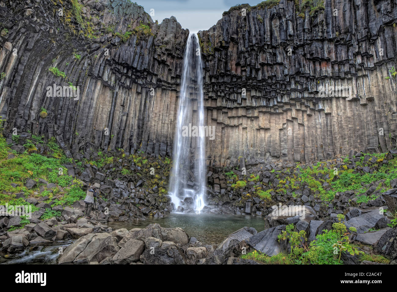 Svartifoss Cascades, le parc national de Skaftafell, l'Islande Banque D'Images