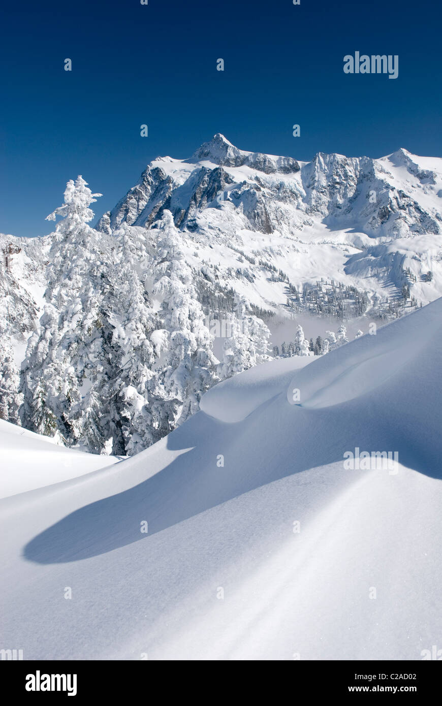 Le mont Shuksan 9 127 pieds (2 782 m) en hiver vu de Kulshan Ridge de Heather Meadows Recreation Area, North Cascades Washingt Banque D'Images