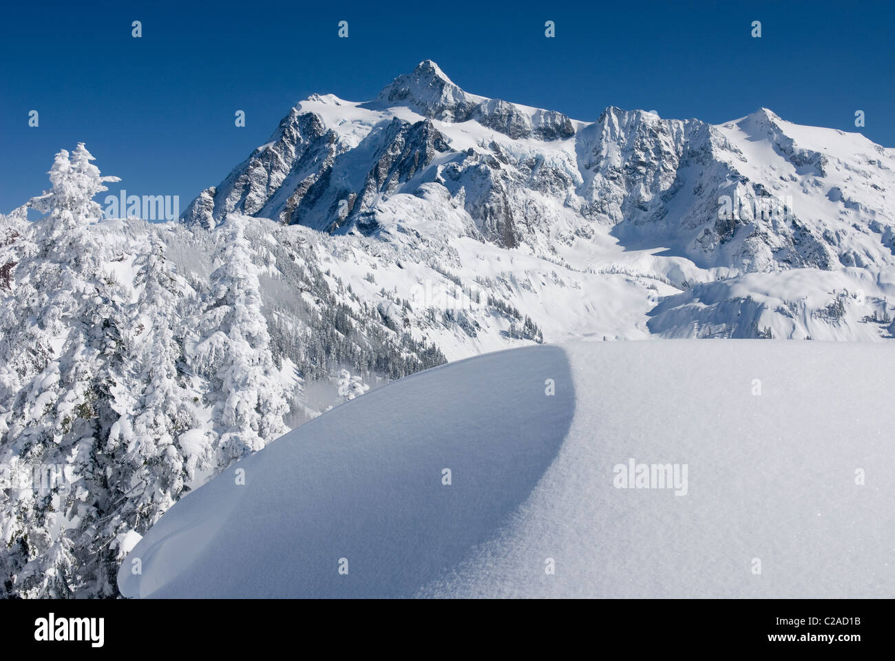 Le mont Shuksan 9 127 pieds (2 782 m) en hiver vu de Kulshan Ridge de Heather Meadows Recreation Area, North Cascades Banque D'Images