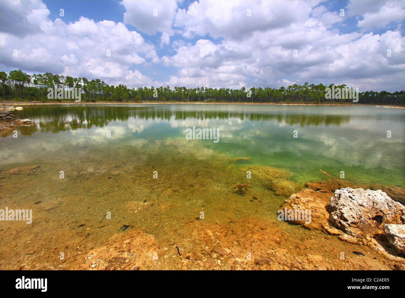Le Parc National des Everglades - USA Banque D'Images