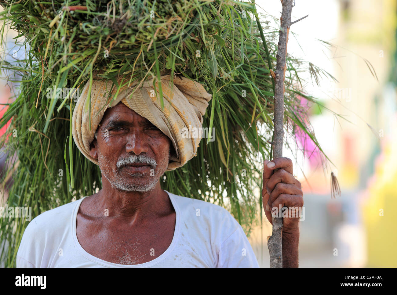 L'homme indien avec l'herbe sur la tête et le stick dans la main l'Andhra Pradesh en Inde du Sud Banque D'Images