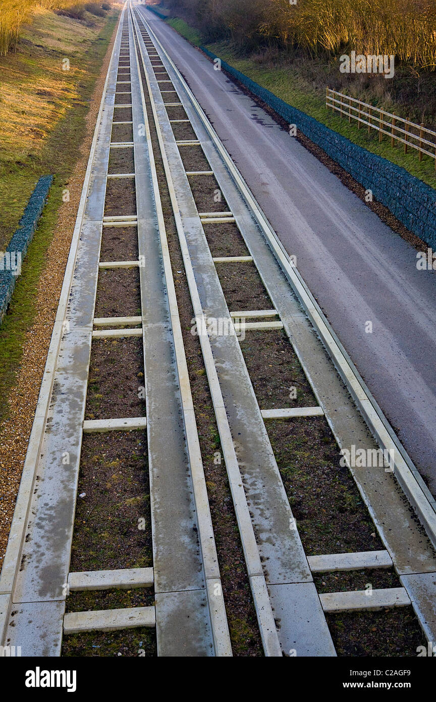 Cambridge busway guidé Banque D'Images