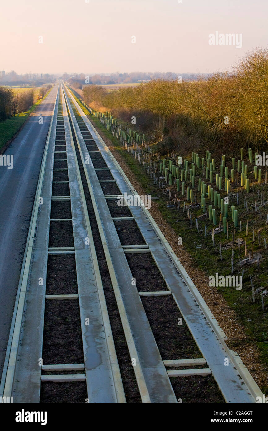 Cambridge busway guidé Banque D'Images