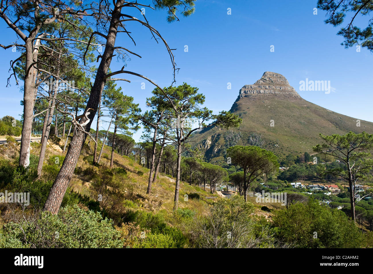 Tête de Lion vue depuis Tafelberg, Cape Town, Afrique du Sud Banque D'Images