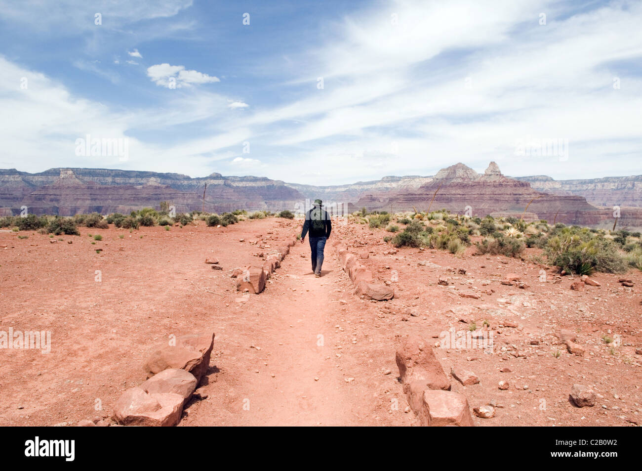 Homme randonnée dans le Parc National du Grand Canyon, Arizona, USA Banque D'Images