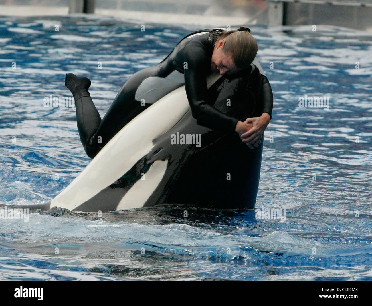 Dawn Brancheau et l'Épaulard effectuant astuces à Seaworld Orlando, Floride Floride - 04.11.04 Banque D'Images Dawn Brancheau et l'Épaulard effectuant astuces à Seaworld Orlando, Floride Floride - 04.11.04 Banque D'Images