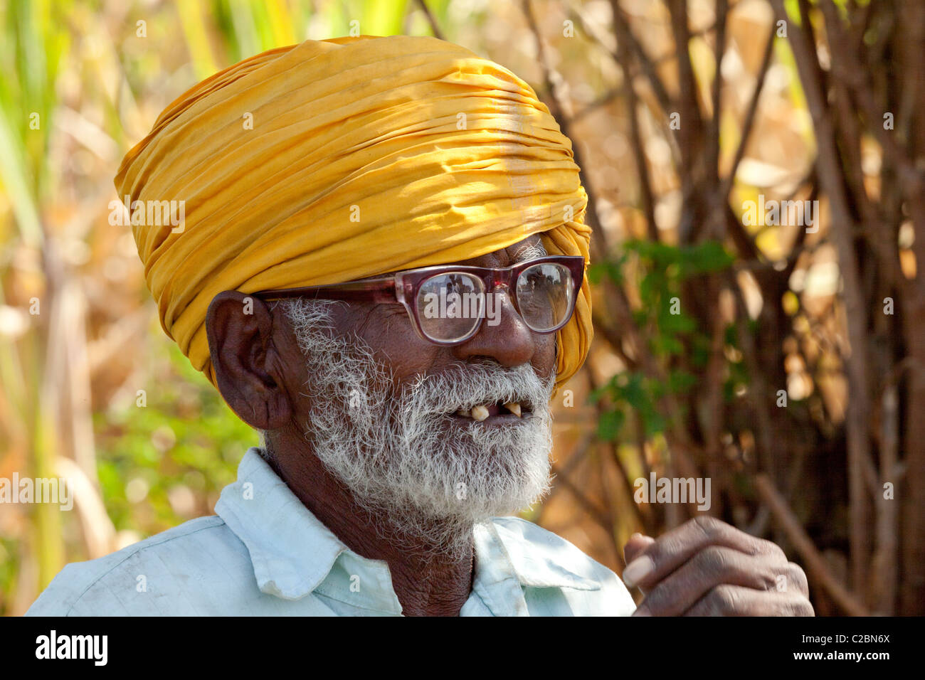 Portrait d'un agriculteur indien âgés. Valsang Maharashtra Inde Banque D'Images