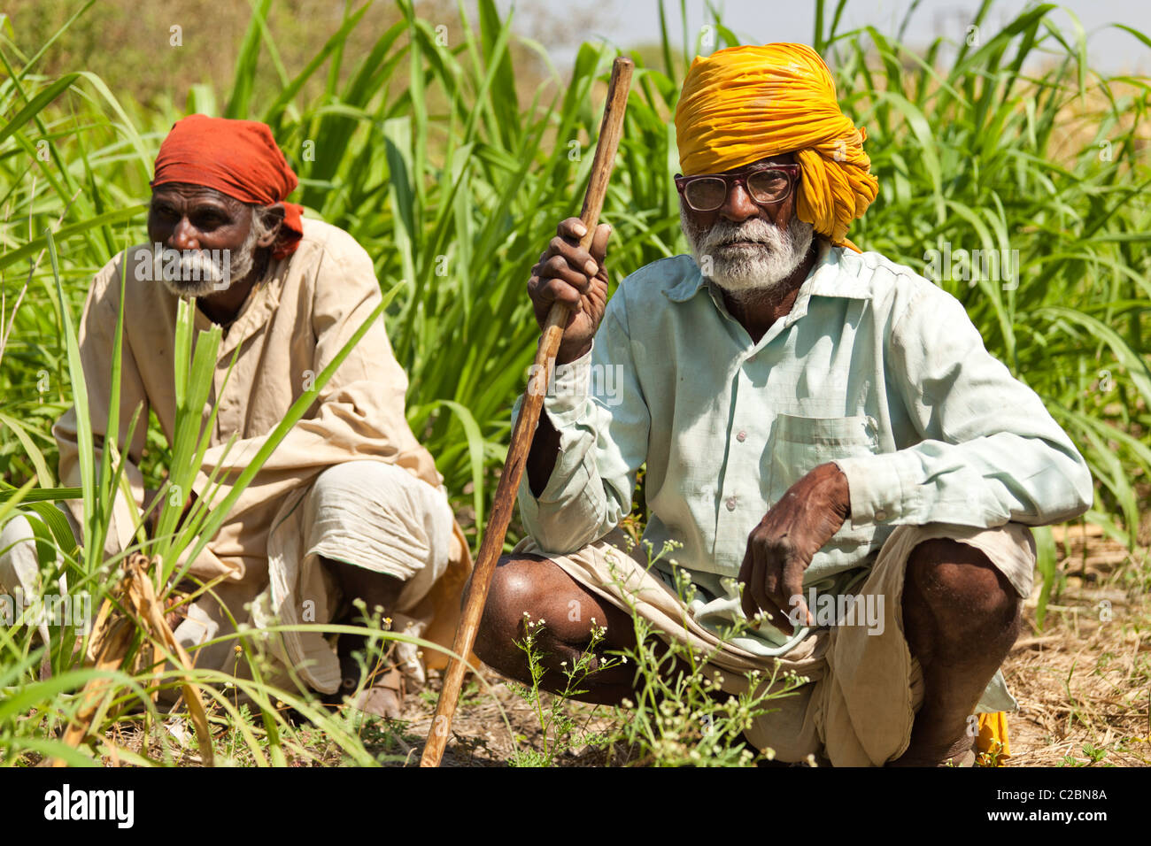 Portrait de deux personnes âgées agriculteurs indiens. Valsang Maharashtra Inde Banque D'Images