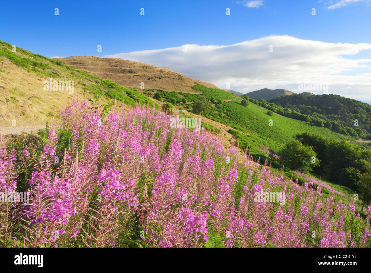 Les collines de Malvern Worcestershire ; ; ; Angleterre Cotswolds Banque D'Images