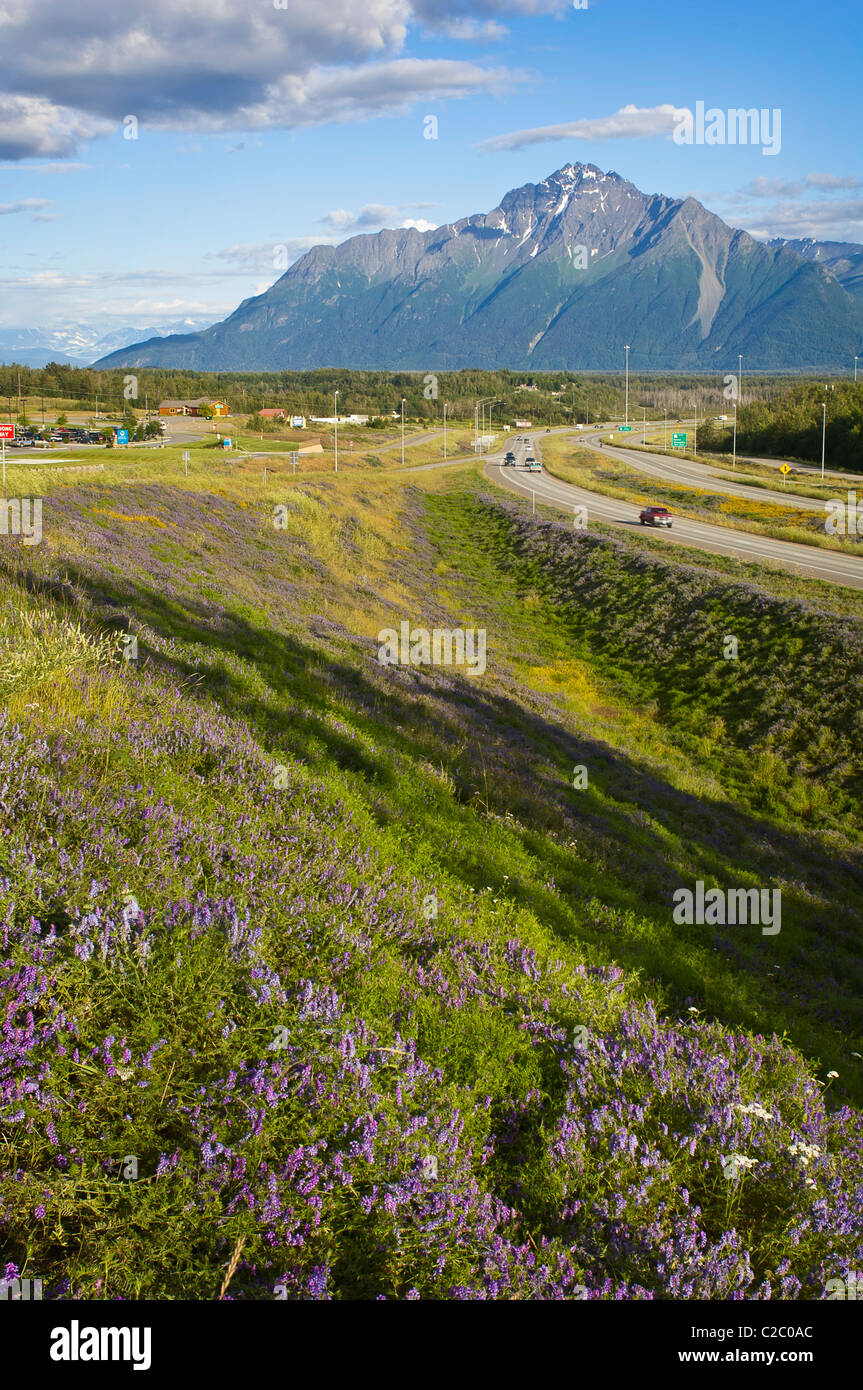 Les véhicules sur la route à travers les parcs la Mat-Su Valley. La route relie les villes d'Anchorage et Fairbanks. Banque D'Images