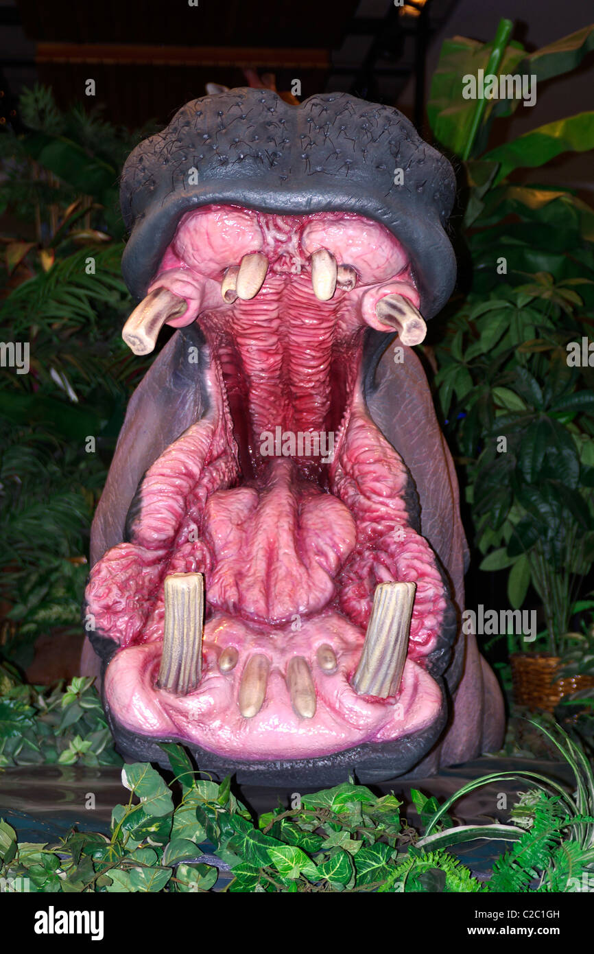 La bouche ouverte d'un hippopotame statue. Banque D'Images