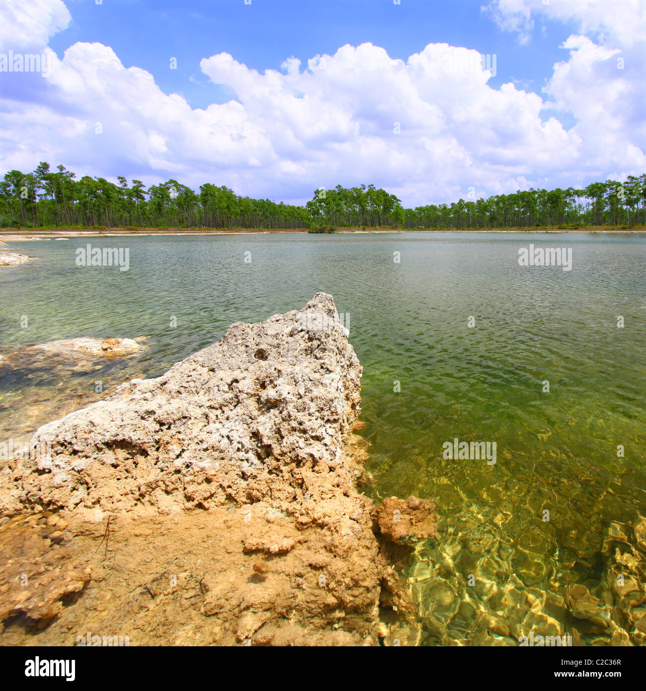 Le Parc National des Everglades - USA Banque D'Images