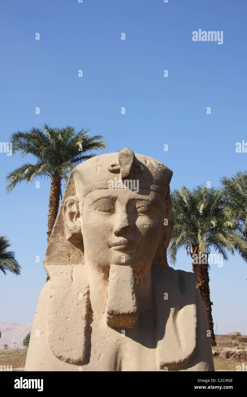 Sphinx du temple de Louxor en Égypte Banque D'Images
