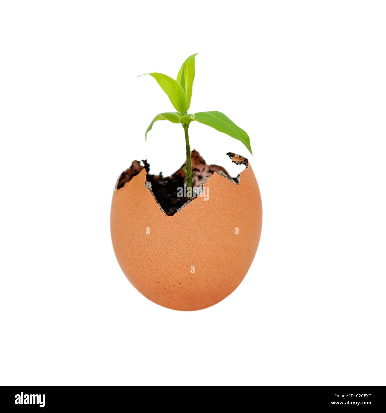 Ouvert de la coquille des œufs avec du sable et de la saleté de la Terre verte de germination de croissance de métaphore pour la vie nouvelle et de l'environnement. Banque D'Images
