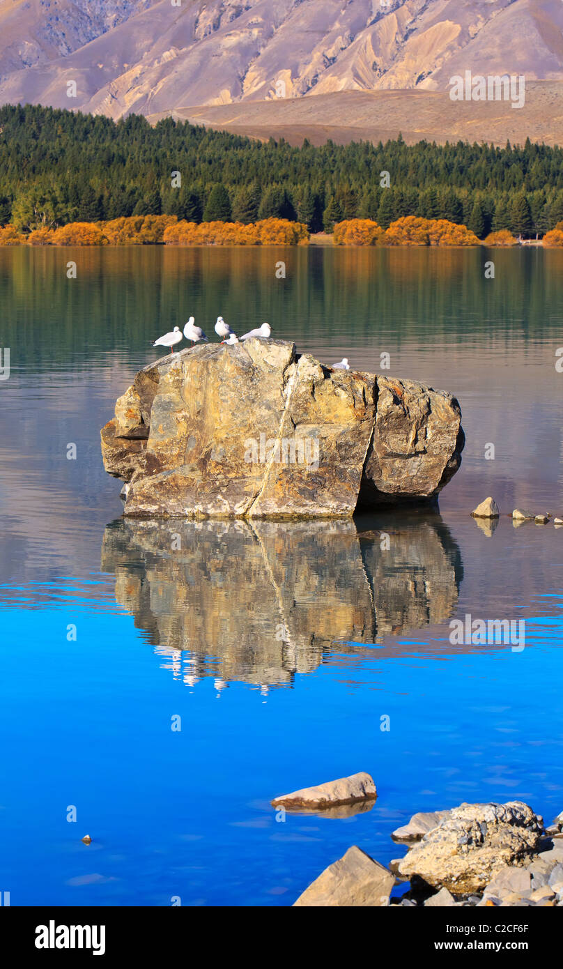 lake-tekapo-new-zealand-banque-de-photographies-et-d-images-haute