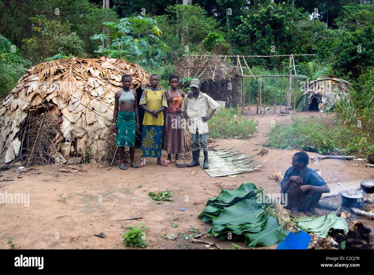 Pygmées dans la forêt,la République du Congo Banque D'Images