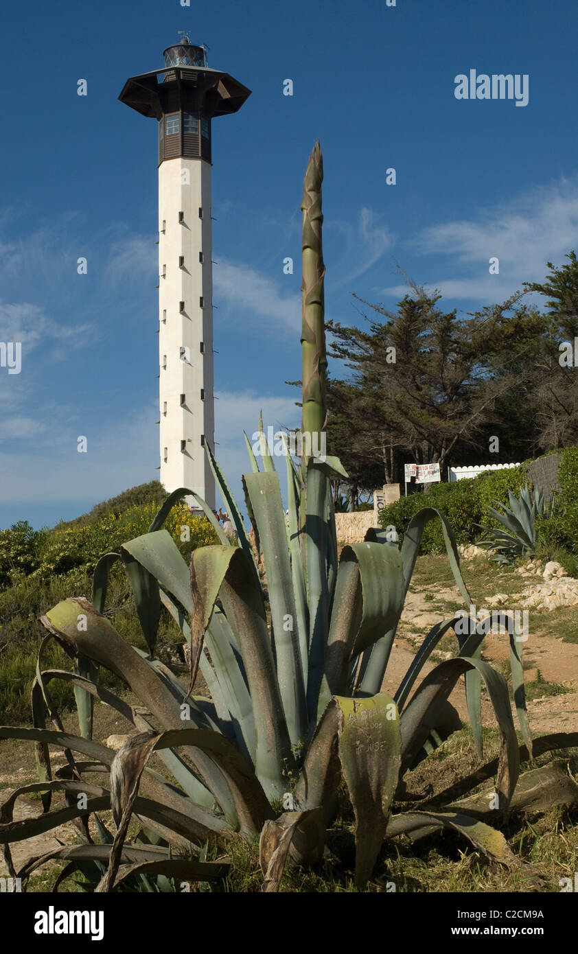 Phare, Torredembarra. Province de Tarragone, Catalogne, Espagne Banque D'Images