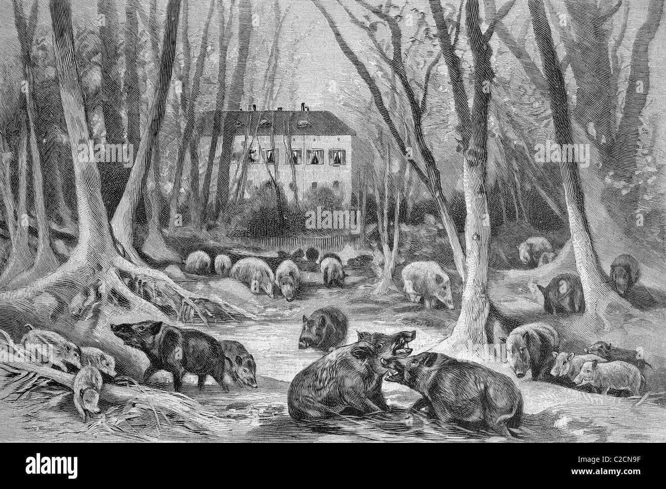Duberow Koenigswusterhausen dans l à, l'Allemagne, l'illustration historique vers 1893 Banque D'Images