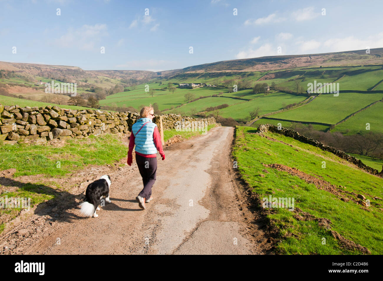 Une femme marche dans la région de Rosedale, dans le North York Moors, Yorkshire, UK. Banque D'Images
