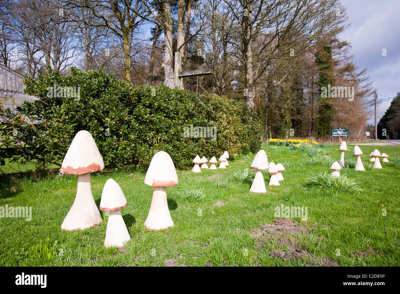 Champignons en bois sculpté par la route dans Rosedale dans le North York Moors, Yorkshire, UK. Banque D'Images