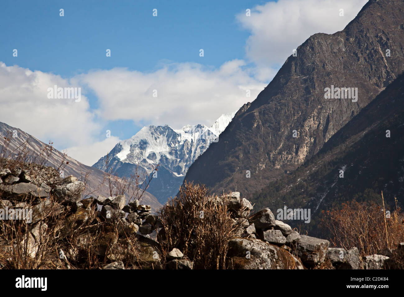 Paysage. Langtang trekking. Himalaya. Le Népal Banque D'Images
