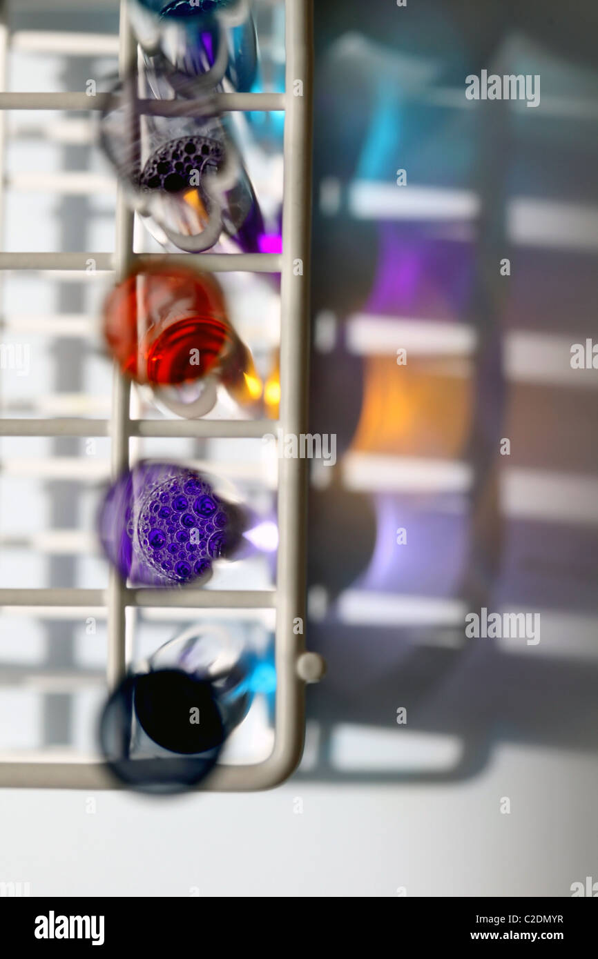 Tubes à essai dans un rack contenant divers liquides colorés Banque D'Images