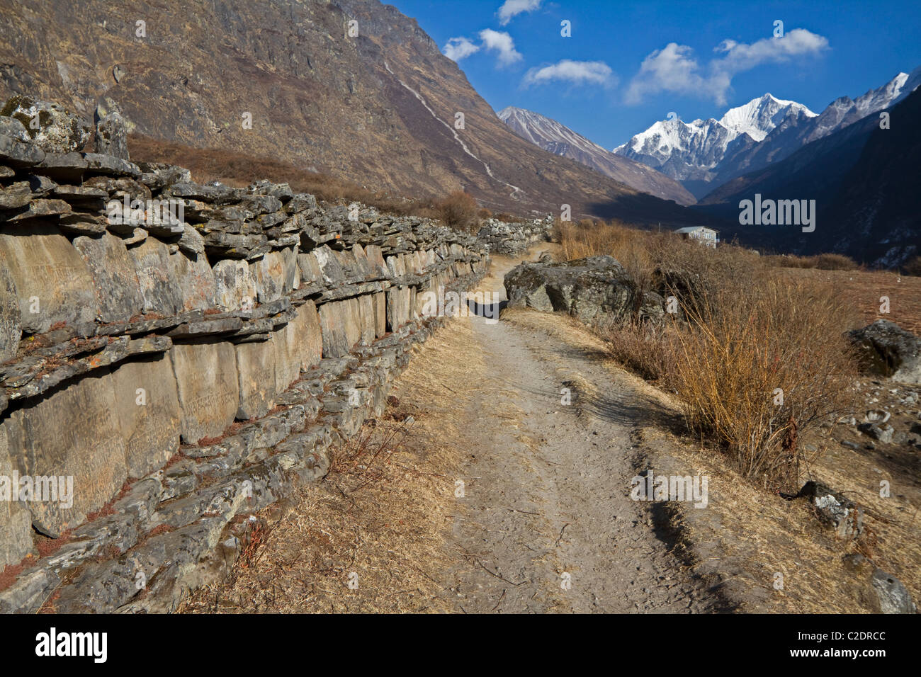 Mur de pierre avec inscription mantra. Langtang Trekking. Himalaya, Népal. Asie Banque D'Images