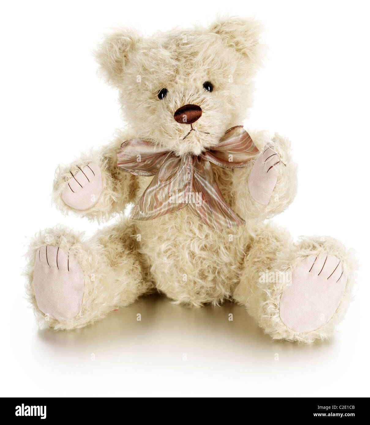 Cute Bear soft toy Banque D'Images