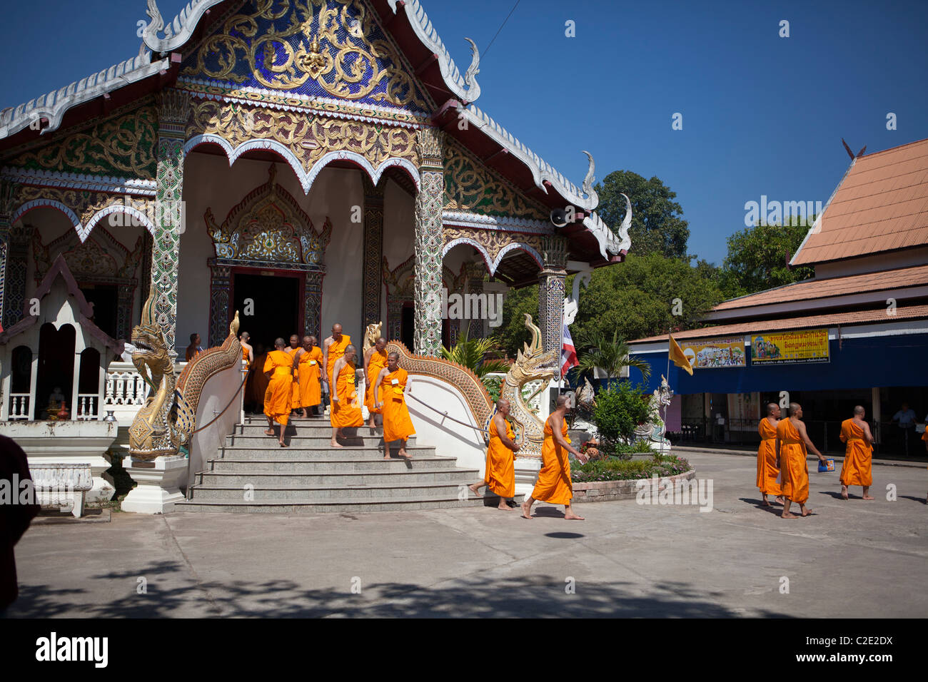 Thai man être moine 'Khon Sook', c'est un rite de passage pour tous les Thai man, Wat Chedi Sao, Lampang, Thaïlande Banque D'Images