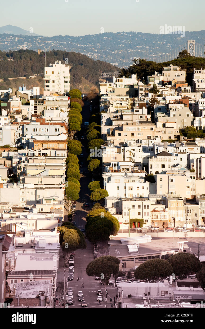 Russian Hill, San Francisco prises à partir d'un point de vue élevé sur Lombard Street et Hyde Banque D'Images