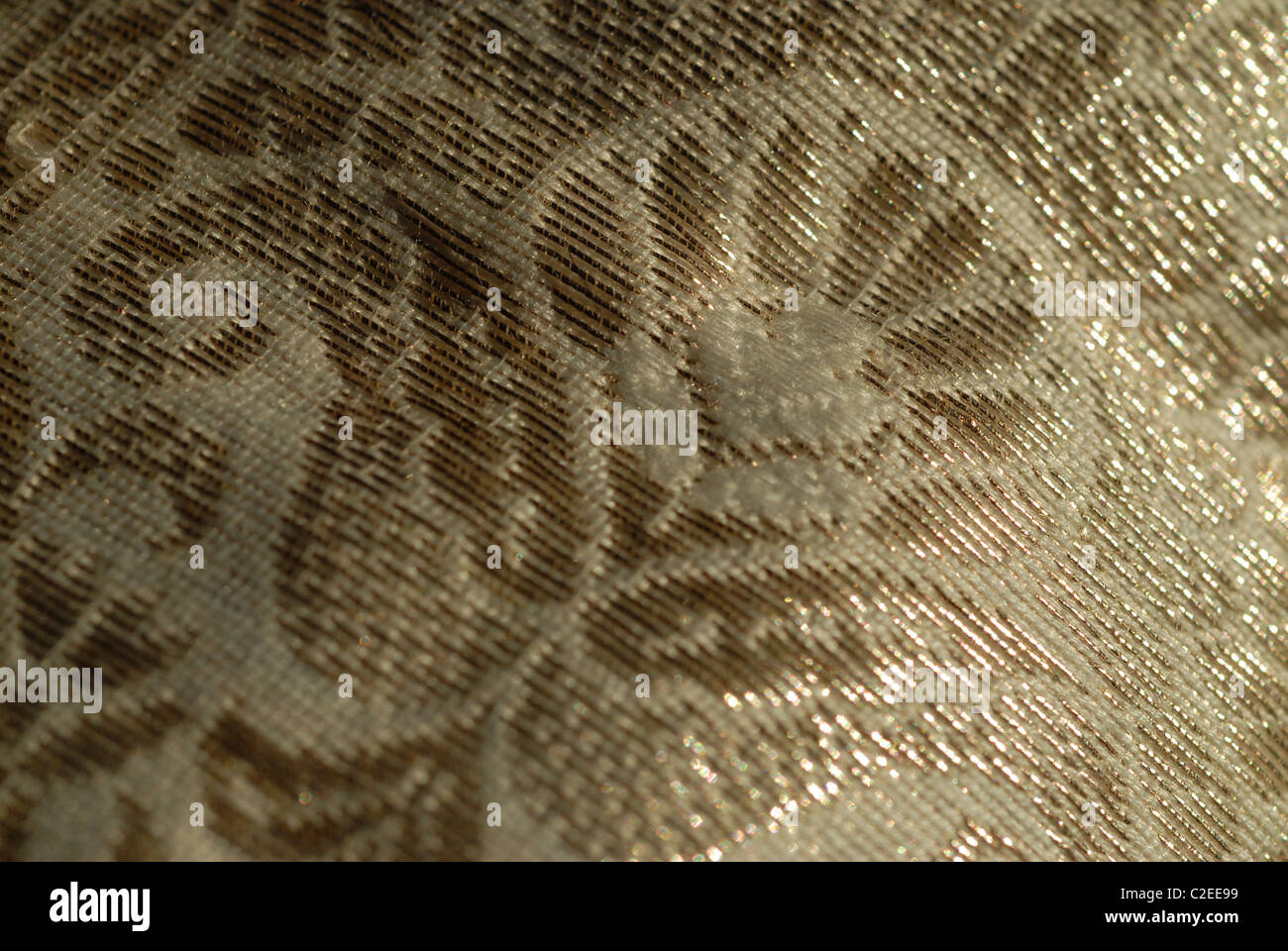 Close-up de la broderie d'or. Banque D'Images