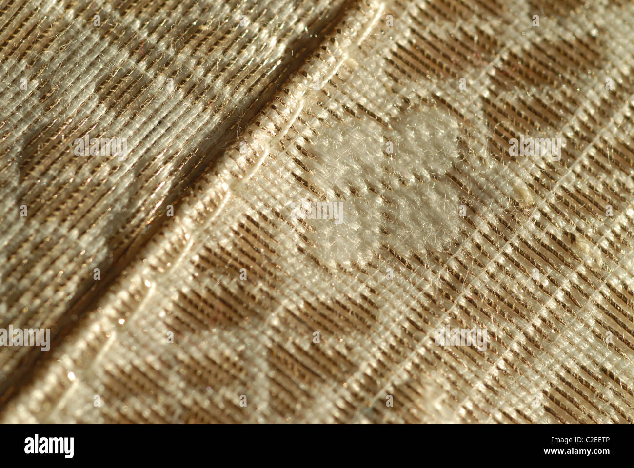 Détail d'un coussin décoratif décoré de fil d'or. Banque D'Images